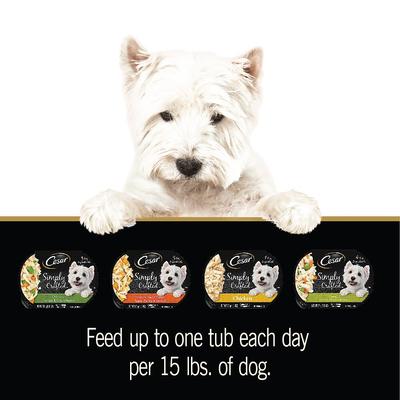 Show full view: Cesar Simply Crafted Cuisine Complement Soft Wet Adult Dog Food Topper Variety Pack, 1.3-oz tubs, case of 24 slide 9 of 10