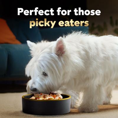 Show full view: Cesar Simply Crafted Multipack Adult Chicken & Beef Recipes Shredded Wet Dog Food, 1.3-oz tray, 40 count slide 9 of 11