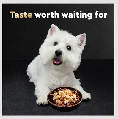 Show full view: Cesar Simply Crafted Variety Pack Chicken & Chicken, Carrots & Green Beans Wet Food Topper + Filet Mignon Flavor & Spring Vegetables Garnish Dry Food slide 5 of 9