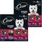 Show in main carousel: Cesar Steak Lovers Variety Pack Adult Wet Dog Food Trays, 3.5-oz tray, bundle of 48  slide 1 of 11