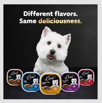 Show full view: Cesar Steak Lovers Variety Pack Small Breed Adult Wet Dog Food, 3.5-oz, case of 24 slide 9 of 11