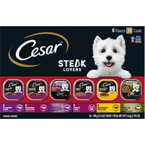 Cesar Poultry Lovers Variety Pack Small Breed Adult Wet Dog Food Trays