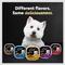 Show in main carousel: Cesar Steak Lovers Variety Pack Small Breed Adult Wet Dog Food Trays, 3.5-oz, case of 36 slide 10 of 11