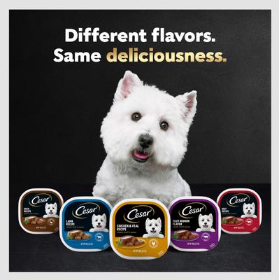 Show full view: Cesar Steak Lovers Variety Pack Small Breed Adult Wet Dog Food Trays, 3.5-oz, case of 36 slide 10 of 11