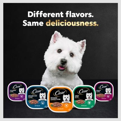 Show full view: Cesar Turkey Recipe Filets in Gravy Small Breed Adult Wet Dog Food Trays, 3.5-oz, case of 24 slide 10 of 12