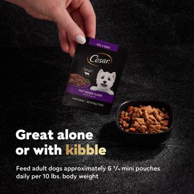 Show full view: Cesar Variety Pack Filet Mignon & Rotisserie Chicken Flavor Filets in Gravy Wet Dog Food, 1.76-oz mini-pouch, case of 20 slide 8 of 11