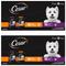 Show in main carousel: Cesar Variety Pack Filet Mignon & Rotisserie Chicken Flavor Filets in Gravy Wet Dog Food, 1.76-oz pouch, case of 40 slide 1 of 10