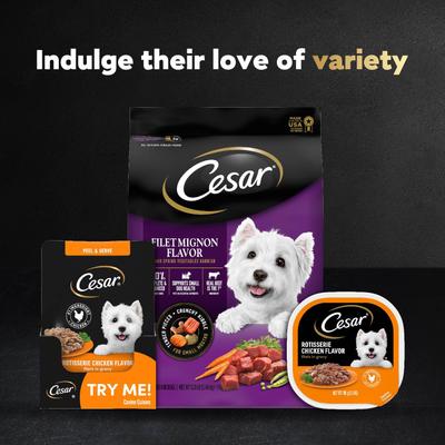 Show full view: Cesar Variety Pack Filet Mignon & Rotisserie Chicken Flavor Filets in Gravy Wet Dog Food, 1.76-oz pouch, case of 40 slide 9 of 10
