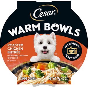 Cesar Warm Bowls Roasted Chicken Entree Shredded Wet Dog Food Trays, 2.7-oz tray, case of 10