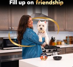 Cesar Warm Bowls Roasted Chicken Entree Shredded Wet Dog Food Trays, 2.7-oz tray, case of 10 slide 2 of 9