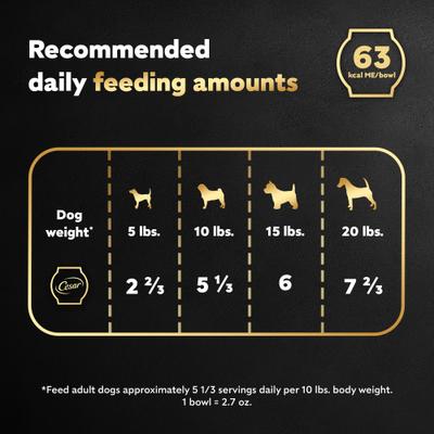 Show full view: Cesar Warm Bowls Roasted Chicken Entree Shredded Wet Dog Food Trays, 2.7-oz tray, case of 10 slide 8 of 11