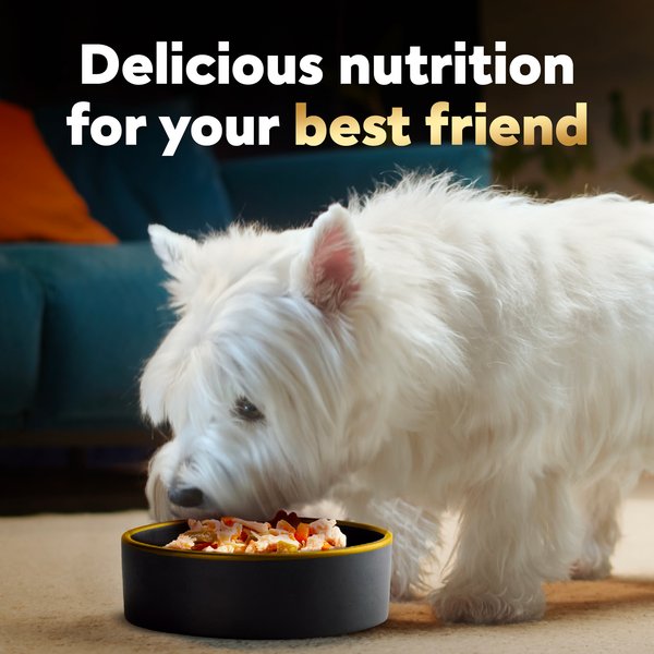 Cesar Warm Bowls Roasted Chicken Entree Shredded Wet Dog Food Trays