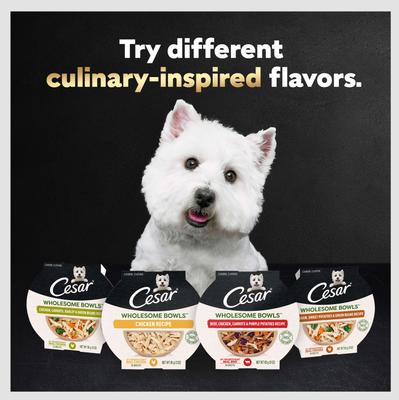 Show full view: Cesar Wholesome Bowls Beef, Chicken, Carrots, Barley & Green Beans Recipe Small Breed Adult Soft Wet Dog Food, 3-oz bowl, case of 10 slide 10 of 11