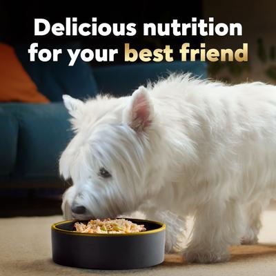 Show full view: Cesar Wholesome Bowls Chicken, Apple & Sweet Potato Recipe Small Breed Adult Soft Wet Dog Food, 3-oz bowl, case of 10 slide 9 of 11