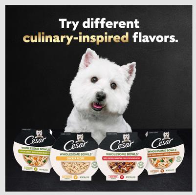 Show full view: Cesar Wholesome Bowls Chicken, Carrots, Barley, Green Beans & Beef, Chicken, Carrots, Potatoes Variety Pack Small Breed Adult Wet Dog Food, 3-oz tray, case of 12 slide 10 of 11