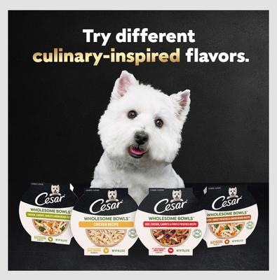 Show full view: Cesar Wholesome Bowls Chicken, Carrots, Barley & Green Beans Recipe Small Breed Adult Wet Dog Food, 3-oz tray, case of 10 slide 10 of 11