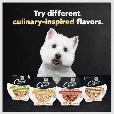 Show full view: Cesar Wholesome Bowls Chicken Recipe & Chicken, Sweet Potato, Green Beans Recipe Variety Pack Small Breed Adult Wet Dog Food, 3-oz tray, case of 12 slide 10 of 11