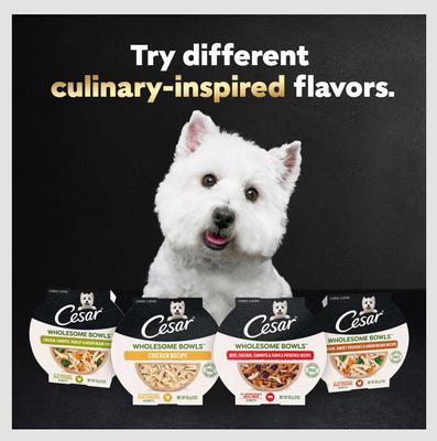 Show full view: Cesar Wholesome Bowls Chicken Recipe Small Breed Adult Wet Dog Food, 3-oz tray, case of 10 slide 10 of 11
