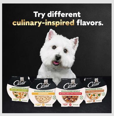 Show full view: Cesar Wholesome Bowls Chicken, Sweet Potato & Green Beans Recipe Small Breed Adult Wet Dog Food, 3-oz tray, case of 10 slide 10 of 11