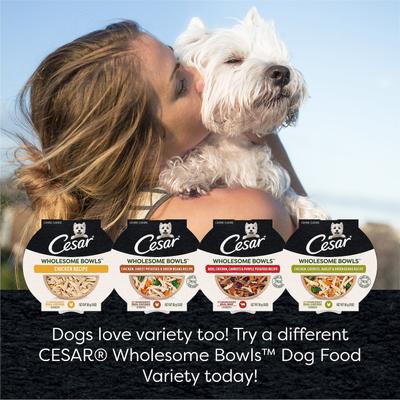 Show full view: Cesar Wholesome Bowls Chicken, Sweet Potato & Green Beans Recipe Wet Dog Food, 3-oz tray, bundle of 20  slide 10 of 11