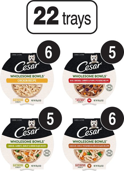 Cesar Wholesome Bowls Small Breed Adult Soft Wet Dog Food Variety Pack