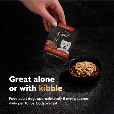 Show full view: Cesar Wood-Grilled Chicken Flavor Filets in Gravy Wet Dog Food, 1.76-oz pouch, case of 20 slide 8 of 11