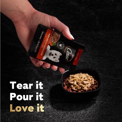 Show full view: Cesar Wood-Grilled Chicken Flavor Filets in Gravy Wet Dog Food, 1.76-oz pouch, case of 20 slide 4 of 11