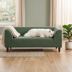 Cfowner Backrest & Armrest, Memory Foam Couch, Modern Elevated with Wooden Legs Furniture-Style-Sofa Dog Bed, Medium, Olive Green
