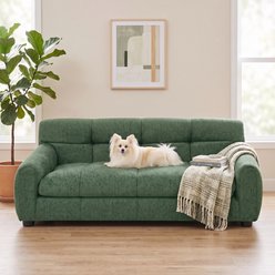 Cfowner Elevated Backrest & Armrests, Soft Memory Foam, Durable Linen Couch Furniture style sofa Dog Bed, Medium: 38-in, Green