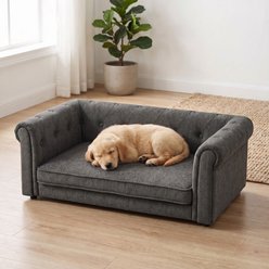 Cfowner Memory Foam Couch with Washable Fabric, Removable Cushion, Furniture Style Sofa Dog Bed, Medium, Dark Gray slide 2 of 5