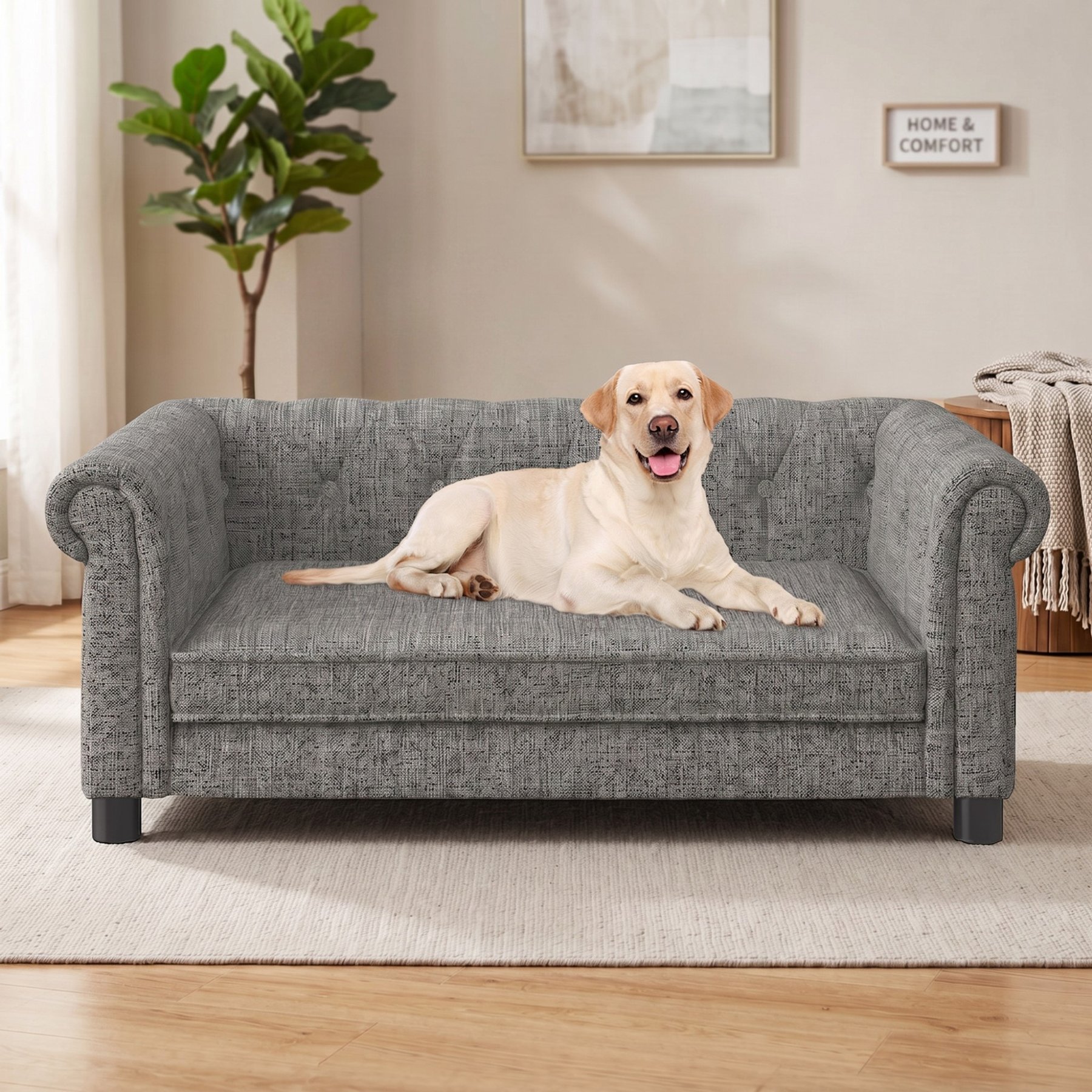 Cfowner Memory Foam Couch with Washable Fabric, Removable Cushion, Furniture Style Sofa Dog Bed, Medium, Light Gray