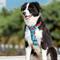 Show in main carousel: Chai's Choice Best Tropic Thunder Edition No-Pull Dog Harness, Aqua, X-Small: 13 to 17-in chest slide 6 of 9