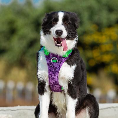 Show full view: Chai's Choice Best Tropic Thunder Edition No-Pull Dog Harness, Purple, Large: 27 to 32-in chest slide 6 of 10