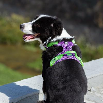 Show full view: Chai's Choice Best Tropic Thunder Edition No-Pull Dog Harness, Purple, Medium: 22 to 27-in chest slide 6 of 9