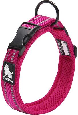 Show full view: Chai's Choice Comfort Cushion 3M Polyester Reflective Dog Collar, Fuchsia, X-Small: 11.8 to 13.8-in neck, 3/5-in wide slide 2 of 6