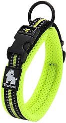 Chai's Choice Comfort Cushion 3M Polyester Reflective Dog Collar, Lemon Lime, Small: 13.8 to 15.7-in neck, 4/5-in wide slide 2 of 4