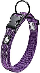Chai's Choice Comfort Cushion 3M Polyester Reflective Dog Collar, Purple, X-Large: 19.7 to 21.7-in neck, 1-in wide slide 2 of 4