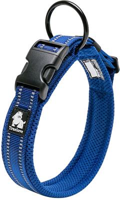 Show full view: Chai's Choice Comfort Cushion 3M Polyester Reflective Dog Collar, Royal Blue, X-Small: 11.8 to 13.8-in neck, 3/5-in wide slide 2 of 6