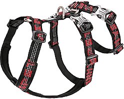 Chai's Choice Double H Trail Runner Polyester Reflective No Pull Dog Harness, Black/Red, Large: 24 to 31-in chest