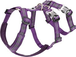 Chai's Choice Double H Trail Runner Polyester Reflective No Pull Dog Harness, Purple, Medium: 20 to 24-in chest