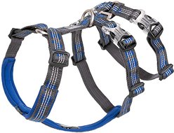 Chai's Choice Double H Trail Runner Polyester Reflective No Pull Dog Harness, Royal Blue, Large: 24 to 31-in chest