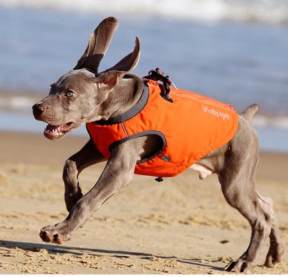 Show full view: Chai's Choice High-Performance Foul Weather Waterproof Polyester Reflective Back Clip Dog Harness, Orange, XX-Large: 32.5 to 39.5-in chest slide 6 of 9