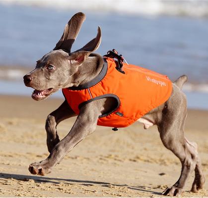 Show full view: Chai's Choice High-Performance Foul Weather Waterproof Polyester Reflective Back Clip Dog Harness, Purple, Large: 24.5 to 28-in chest slide 5 of 8