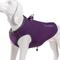 Show in main carousel: Chai's Choice High-Performance Foul Weather Waterproof Polyester Reflective Back Clip Dog Harness, Purple, X-Small: 14.5 to 17.5-in chest slide 5 of 9