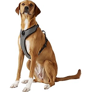 Chai's Choice Outdoor Explorer No-Pull 3M Polyester Reflective Dual Clip Dog Harness, Black, Large: 27 to 32.5-in chest