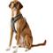 Show in main carousel: Chai's Choice Outdoor Explorer No-Pull 3M Polyester Reflective Dual Clip Dog Harness, Black, Large: 27 to 32.5-in chest slide 3 of 12