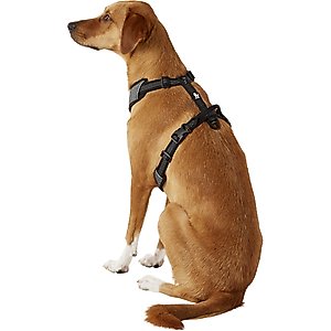 Chai's Choice Outdoor Explorer No-Pull 3M Polyester Reflective Dual Clip Dog Harness, Black, Large: 27 to 32.5-in chest