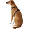 Show in main carousel: Chai's Choice Outdoor Explorer No-Pull 3M Polyester Reflective Dual Clip Dog Harness, Black, Large: 27 to 32.5-in chest slide 4 of 12