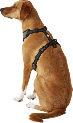 Show full view: Chai's Choice Outdoor Explorer No-Pull 3M Polyester Reflective Dual Clip Dog Harness, Black, Large: 27 to 32.5-in chest slide 4 of 12