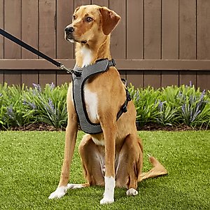 Chai's Choice Outdoor Explorer No-Pull 3M Polyester Reflective Dual Clip Dog Harness, Black, Large: 27 to 32.5-in chest
